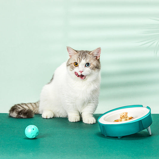 HKM-6996285 Eco-Friendly Disposable Cat and Dog Food Bowl with Non-Slip Base and Replaceable Paper Liners