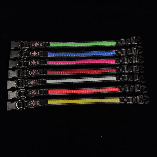 HKM-7034429 Telescopic USB Rechargeable Portable Pet Collar in Multiple Colors and Sizes