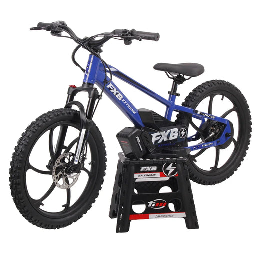 HKM-705299 Kids Electric Balance Bike 20inch with Brushless Motor and Hydraulic Disc Brakes, Ages 8-13, Max Load 100kg