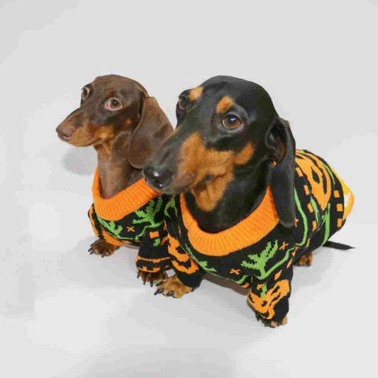 HKM-7066173 Warm Pumpkin Color Matching Sweater for Dogs and Cats - Available in Multiple Sizes