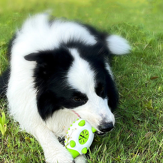 HKM-7255741 Durable Hedgehog Shape Dog Toy with Food Dispensing and Teeth Cleaning Features for Small to Large Breeds