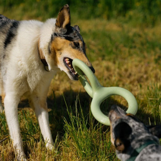 HKM-732499 Durable Rubber Pet Bite Pull Toy - Light Green, 8.9 & 11 Inches Options