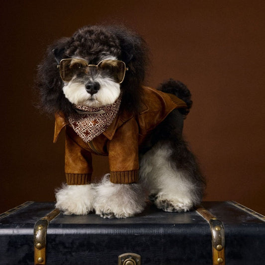 HKM-733843 Retro Style Long Sleeve Leather Coat for Schnauzer and Bichon - Brown, Multiple Sizes Available