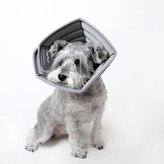 HKM-748883 Monochrome Pet Anti-Bite Headgear for Dogs in Black and Gray - Sizes S, M, L Available