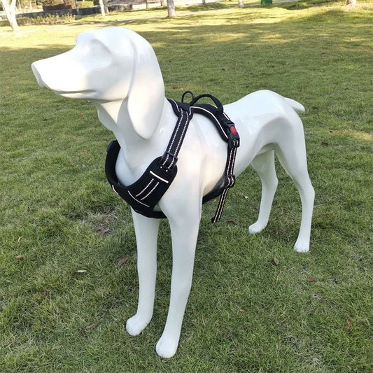 HKM-7525437 Adjustable Oxford Cloth Dog Chest Harness with Leash in Black, Purple, and Orange