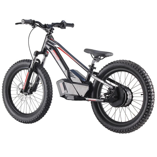 HKM-757331 20 Inch Electric Balance Bike for Kids with 3 Speed Options and Hydraulic Disc Brakes