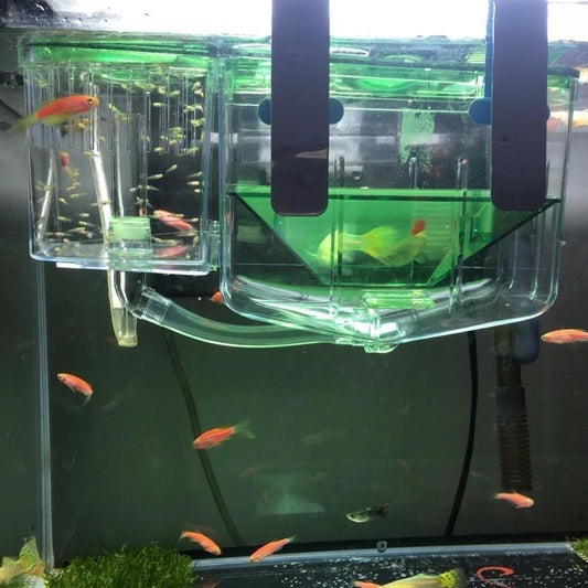HKM-761043 Double Layer Floating Isolation Box for Guppies and Betta Fish with Feeding Access