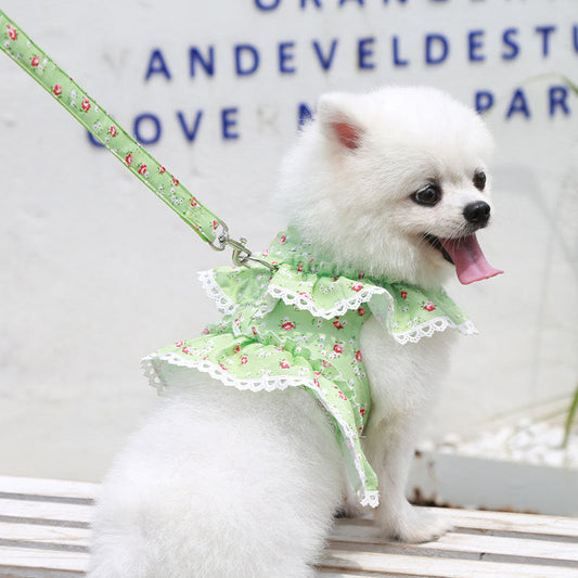 HKM-7619261 Small Floral Lace Teddy Bear Dog Leash with Chest Strap for Pets Up to 15 kg
