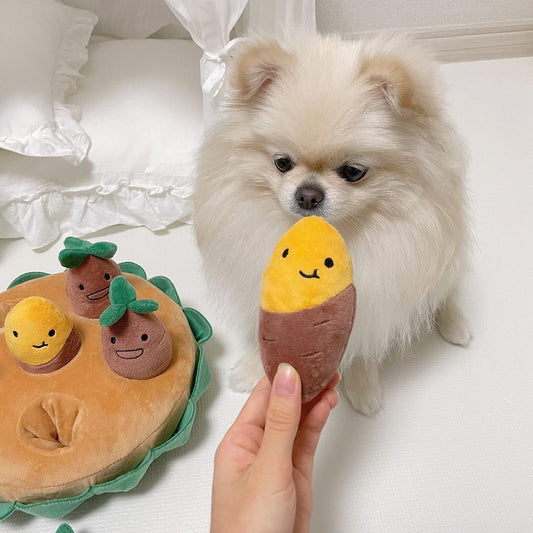 HKM-7652285 Sweet Potato Pull Toy Set for Dogs - Includes Soil Base, Peeled & Green Sweet Potatoes