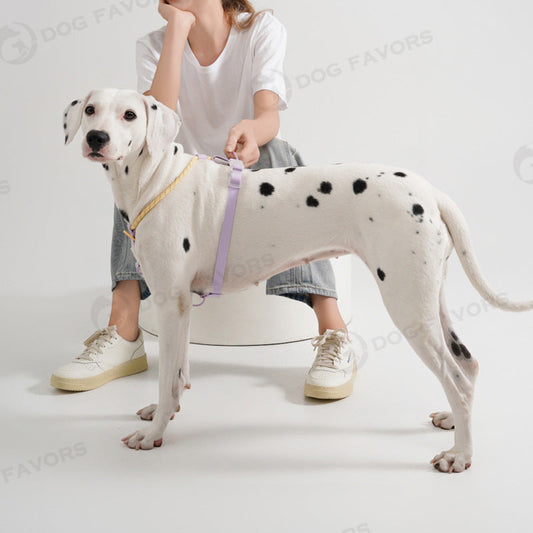 HKM-7652925 Adjustable Dog Traction Vest and Collar Set with Leash - Available in Purple and Pink