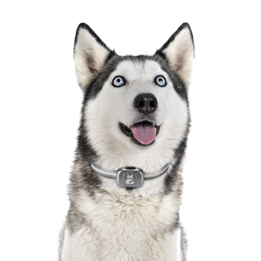 HKM-7793725 GPS Pet Locator with Vibration Alarm and Waterproof Design, ABS Material, IP67, 100-Hour Battery Life