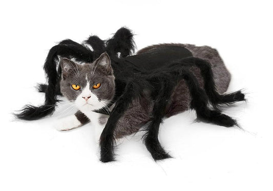 HKM-801107 Pet Spider Costume for Dogs and Cats - Feather Dress Up Outfit for Halloween and Parties