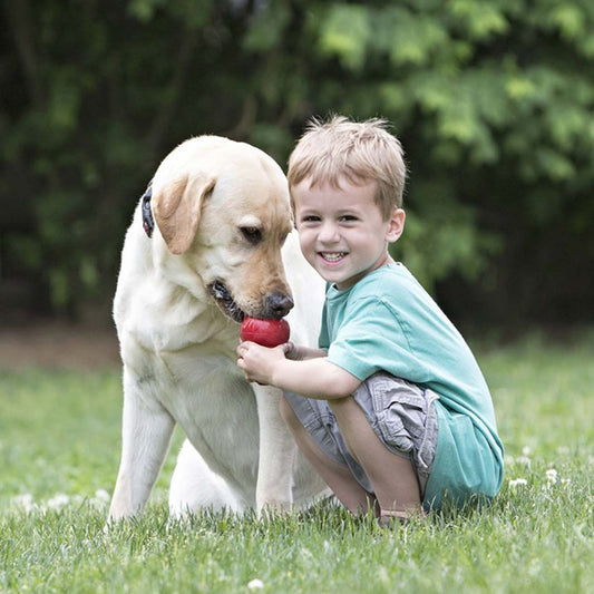 HKM-817491 Gourd Bite-Resistant Rubber Dog Toy for Food Leakage - Multiple Sizes Available