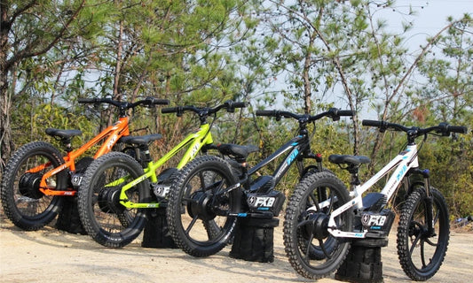 HKM-827475 Electric Balance Bike for Kids 8-15 Years - 20 Inch Aluminum Alloy, 600W Brushless Motor, Disc Brakes, Adjustable Seat