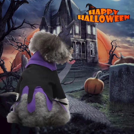 HKM-8292925 Colorful Butterfly Wings Dog Costume for Festivals in Various Sizes and Styles