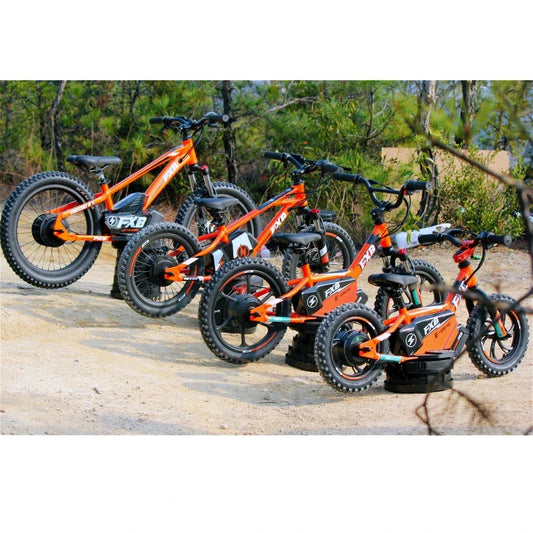 HKM-838675 Electric 16-Inch Kids Bicycle with 2-Speed, Aluminum Frame, Disc Brake, and Lithium Battery