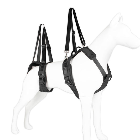 HKM-8568253 Assisted Split Chest Strap for Pets - Suitable for Dogs, Cats, and Large Animals