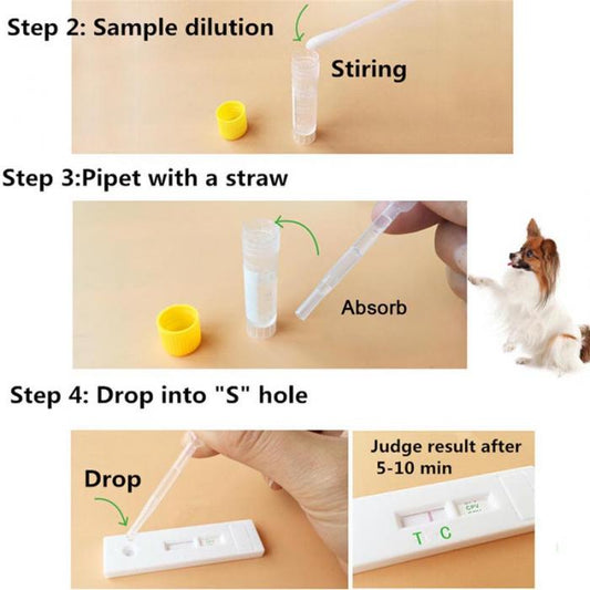 HKM-8620861 Canine Distemper and Parvovirus Test Kit for Accurate Pet Health Assessment