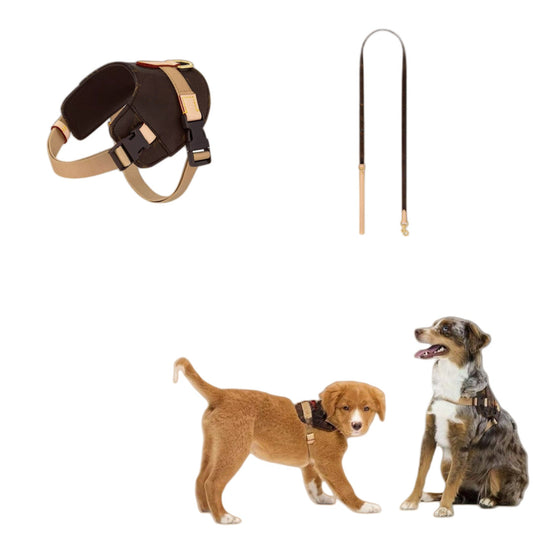 HKM-8639549 Coffee Floral Leather Pet Harness - Size S & M, Adjustable for All Seasons