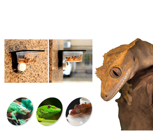 HKM-8684733 Multifunctional Wall-Mounted Pet Water Basin with Adjustable Installation Options