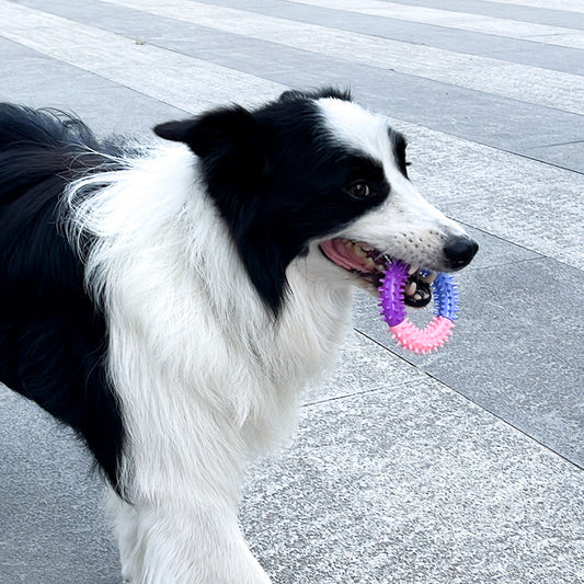 HKM-8826173 Three-Color TPR Dog Molar Chew Toy Ring for Pets