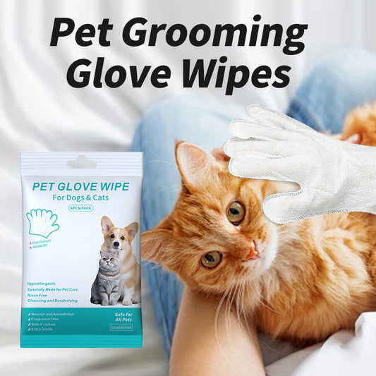 HKM-8832701 Pet Cleaning Essentials Set: Disposable Gloves, Wipes, and Foot Foam