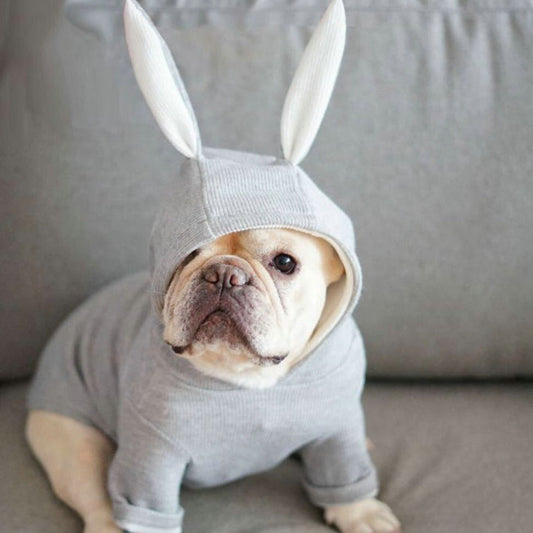 HKM-8933181 Knitted Sweater with Rabbit Ears for Small Dogs - Wool Material