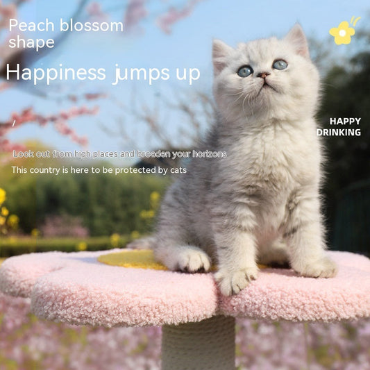 HKM-8941117 Peach Blossom Cat Climbing Frame with Integrated Nest and Sisal Scratch Board