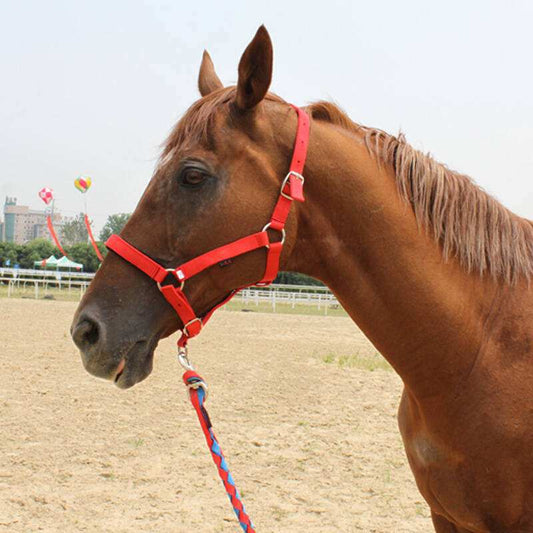 HKM-9048765 Customizable Horse Bridle with Neoprene Lining ¨C Equestrian Headgear and Supplies
