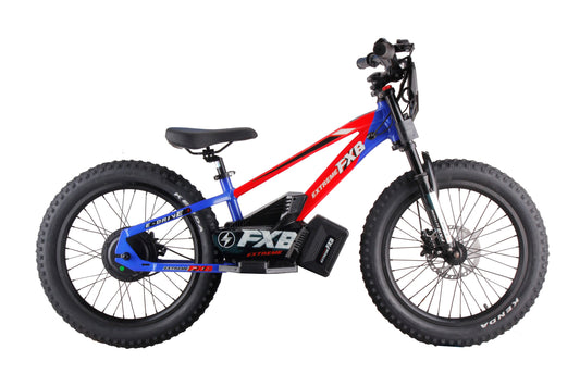 HKM-906515 20-Inch Electric Balance Bike with 800W Motor, Hydraulic Suspension, and Removable Battery
