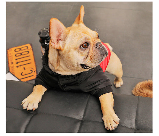 HKM-9076413 Cozy Padded Cotton Coat for Small Dogs – Casual Winter Wear in Black and Red