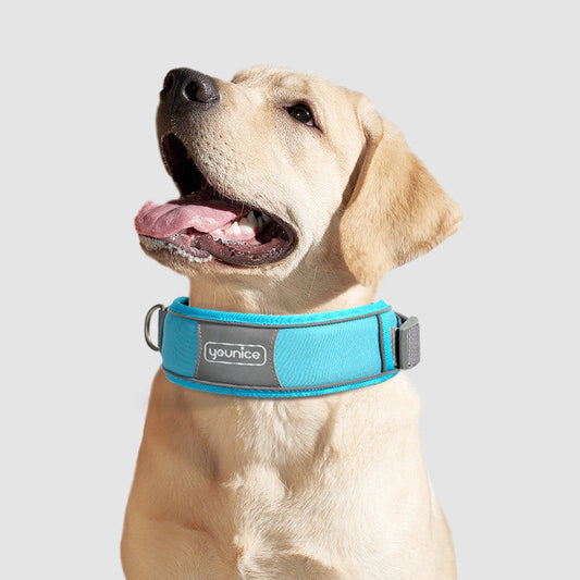 HKM-911251 Cute Dog Collar Leash Explosion-proof And Anti-off