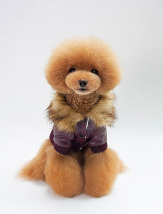 HKM-9120829 Warm Pet Fur Collar Coat in Black and Wine Red - European and American Style, Available in Multiple Sizes