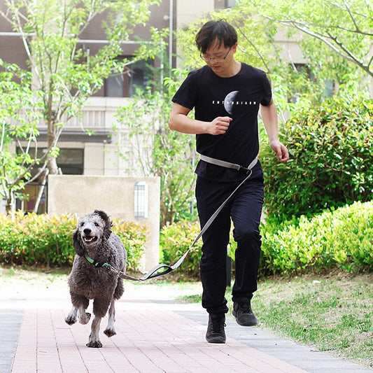 HKM-9137341 1.8m Durable nylon Dog Leash for Traction and Running