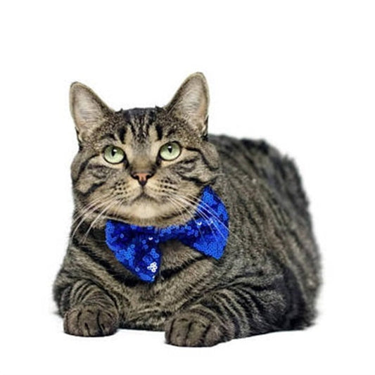 HKM-9139773 Pet Party Birthday Crown for Dogs and Cats, Non-Woven Pet Accessory with Bow, 9.5CM Diameter