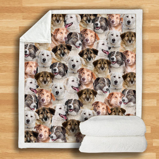 HKM-932115 Modern Printed Flannel Blanket for Dogs - Available in Two Sizes (120x150, 150x200)