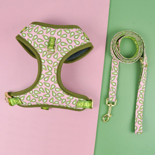 HKM-936915 Pet Chest-Back Leash Set for Medium and Large Dogs in Various Colors