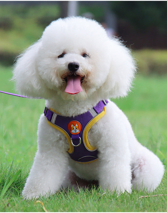 HKM-9398973 Soft Mesh Dog and Cat Harness with Reflective Leash, Comfortable Chest Strap, Lightweight Design