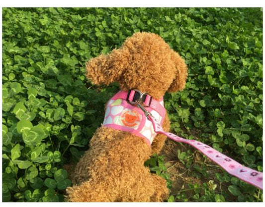 HKM-9452989 Dog Trail Vest with Protective Chest Strap - Adjustable, Durable, Available in Various Stylish Patterns and Sizes S-XL