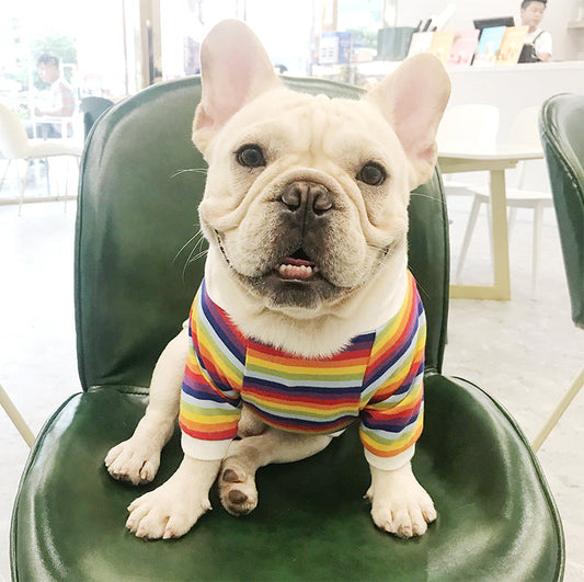 HKM-9523389 Trendy Cotton Dog Sweater in Color Bar for All Sizes