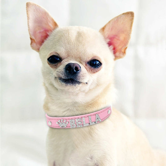 HKM-9580861 Personalized Rhinestone Cat and Small Dog Collar in Multiple Colors