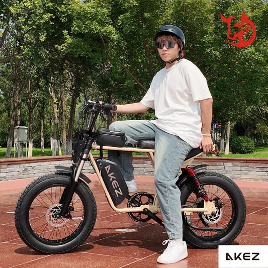 HKM-966355 750W Electric Fat Tire Mountain Bike with Full Suspension, 20-Inch Wheels for Adults