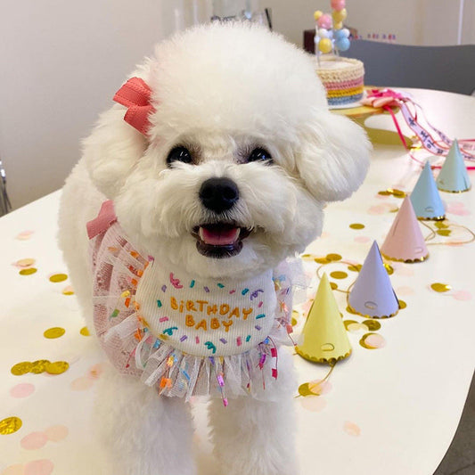 HKM-9707709 Pet Birthday Bib and Hat Set for Dogs - Bichon Triangle Scarf, Polyester Material, Various Sizes Available