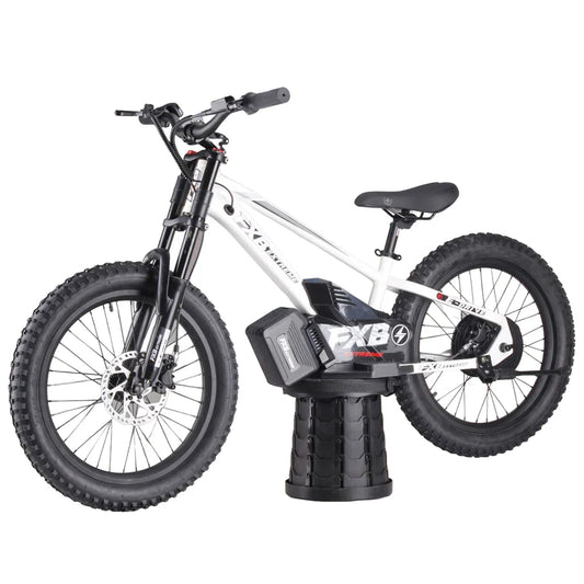 HKM-970899 20-Inch High-Power Electric Balance Bike with 600W-800W Motor for Kids Aged 8-16 Years