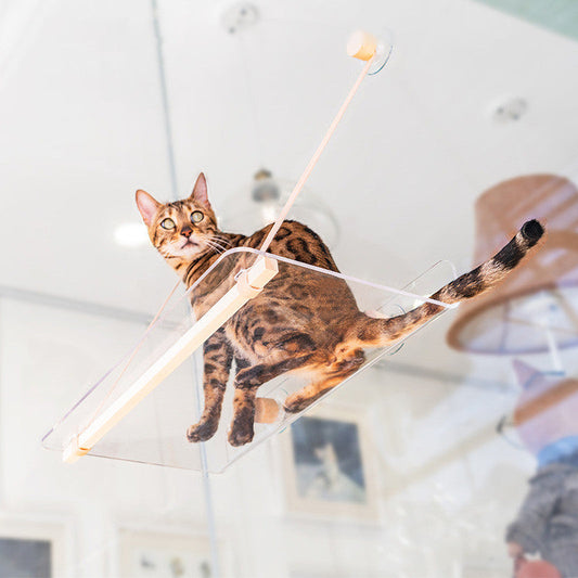 HKM-9737149 Hanging Transparent Acrylic Cat Bed for Comfortable Home Relaxation