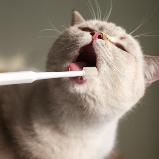 HKM-9782973 360-Degree Pet Toothbrush for Dogs and Cats - Effective Oral Cleaning and Bad Breath Prevention