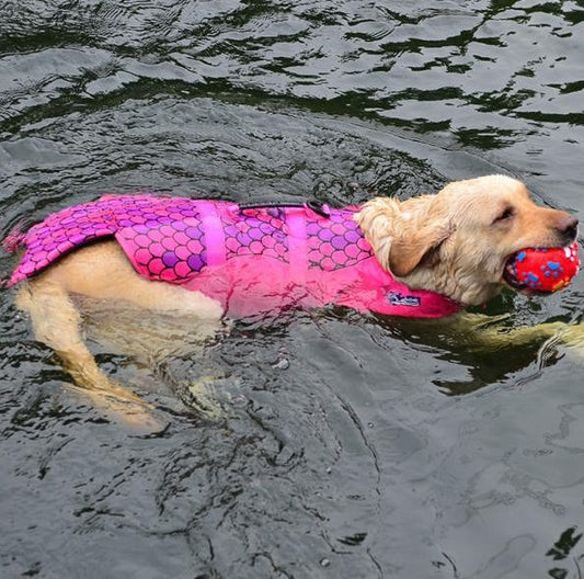 HKM-9829821 Pet Life Jacket for Swimming - Durable 600D Polyester Oxford Cloth, High Density Foam, Available in Pink, Mermaid Gray, Shark Red, and Clownfish Colors