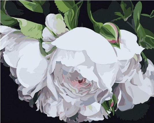 HKM-987219 DIY White Flower Painting - Canvas Painting By Numbers Kit, Unframed, 40x50 cm, Includes Paints and Brushes