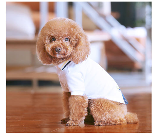 HKM-9897533 Teddy Pet Summer T-Shirt for Pets - Lightweight Nylon Fabric, Various Sizes Available