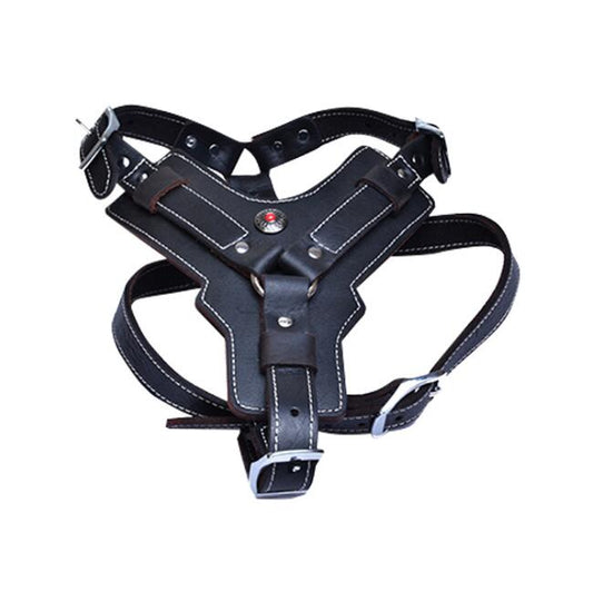 HKM-9956029 Genuine Oil Leather Dog Harness for Medium and Large Breeds, Adjustable Neck and Chest Measurements